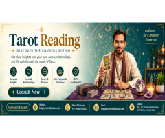 Live Chat with Astrologer on WhatsApp – Zenith Astroz
