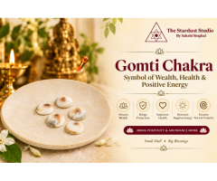 Buy Gomti Chakra Online at Best Price | The Stardust Studio