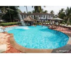 Enjoy a Relaxing Stay at a Swimming Pool Hotel and Resort in Morjim, Goa