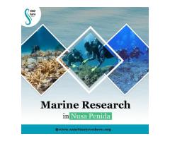Marine Research in Nusa Penida