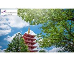 Book Premium Japan Tour Packages from Kolkata Today - Flying Squirrel Holidays