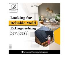 Looking for Reliable Mold Extinguishing Services