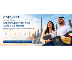 Business Setup Consultants in Dubai | Freezone & Offshore Company Setup – Catalyst Dubai