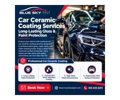 Professional Car Ceramic Coating Services Gloss & Paint Defense