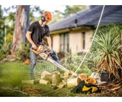 Tree Service Experts Adelaide - Local Tree Care
