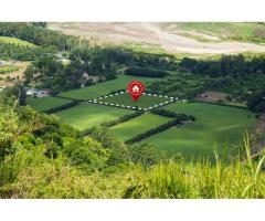 Buy Strategically Located Villa Plots in Chennai Via Ashok Nandavanam