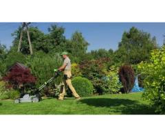 Improve Your Yard with Green Drop Lawns Ltd | Request a Free Quote