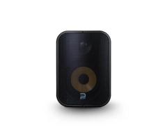 Buy Bluesound Professional BSP500 PoE Streaming Speaker