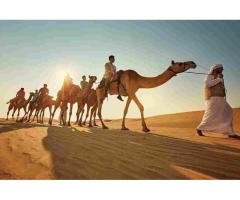 Abu Dhabi Holidays Package – Heritage, Beaches & Desert Getaways