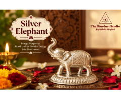 Buy Silver Elephant Online at Best Price | The Stardust Studio