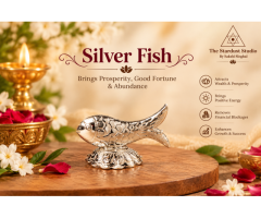 Shop Silver Fish Online at Best Price