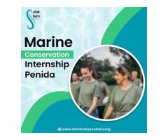 Marine Conservation Internship Penida