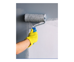 Get the Best Painting Contractor Quotes for Your Property Makeover