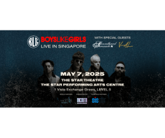 Boys Like Girls Live in Singapore 2025