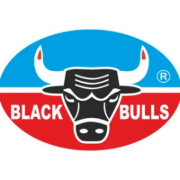 Black Bulls