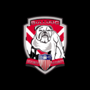 Bulldog Locksmith Access Control