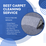 Same Day Carpet Cleaning